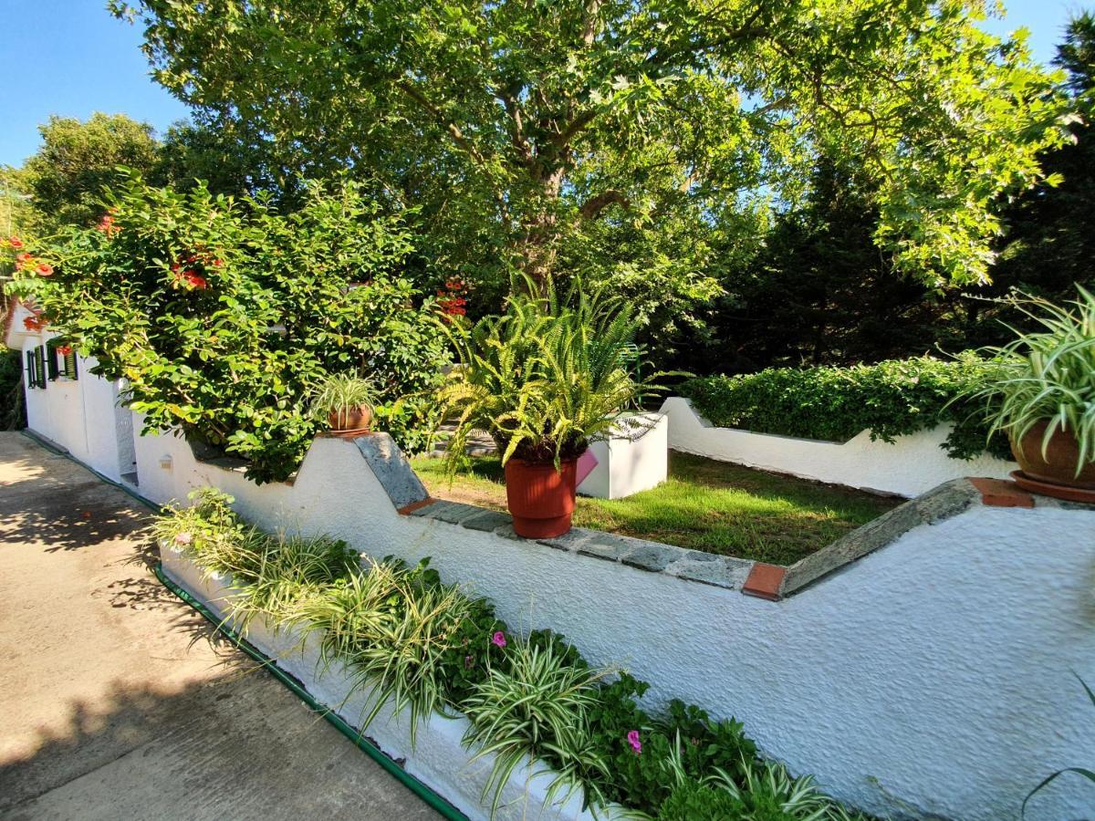 Dionisos Studios And Apts Skiathos Koukounaries Eksteriør bilde